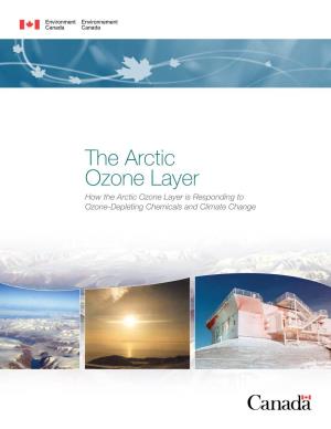 The Arctic Ozone Layer