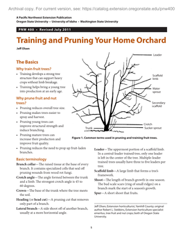 Training and Pruning Your Home Orchard Jeff Olsen
