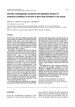 Cell Fate, Morphogenetic Movement and Population Kinetics of Embryonic Endoderm at the Time of Germ Layer Formation in the Mouse