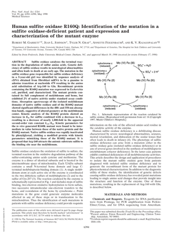 Human Sulfite Oxidase R160Q: Identification of the Mutation in a Sulfite Oxidase-Deficient Patient and Expression and Characterization of the Mutant Enzyme