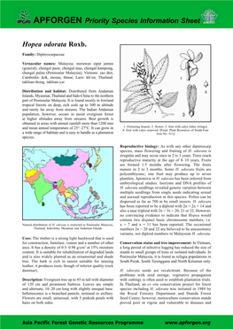 Hopea Odorata Roxb. APFORGEN Priority Species Information Sheet