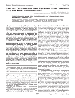 Functional Characterization of the Eukaryotic Cysteine Desulfurase