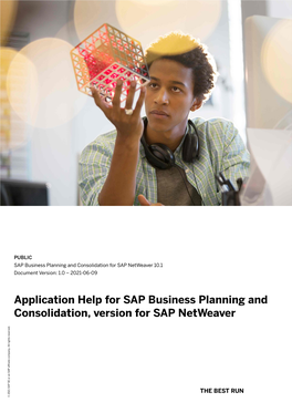 Application Help for SAP Business Planning and Consolidation, Version for SAP Netweaver Company