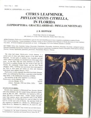 Heppner, J. B. 1993. Citrus Leafminer, Phyllocnistis Citrella, in Florida