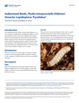 Indianmeal Moth, Plodia Interpunctella (Hübner) (Insecta: Lepidoptera: Pyralidae)1 Thomas R
