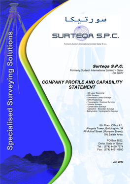 Company Profile and Capability Statement