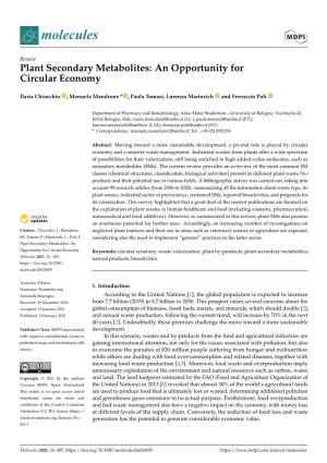 Plant Secondary Metabolites: an Opportunity for Circular Economy