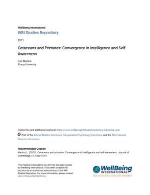 Cetaceans and Primates: Convergence in Intelligence and Self- Awareness