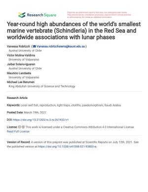 (Schindleria) in the Red Sea and Worldwide Associations with Lunar Phases