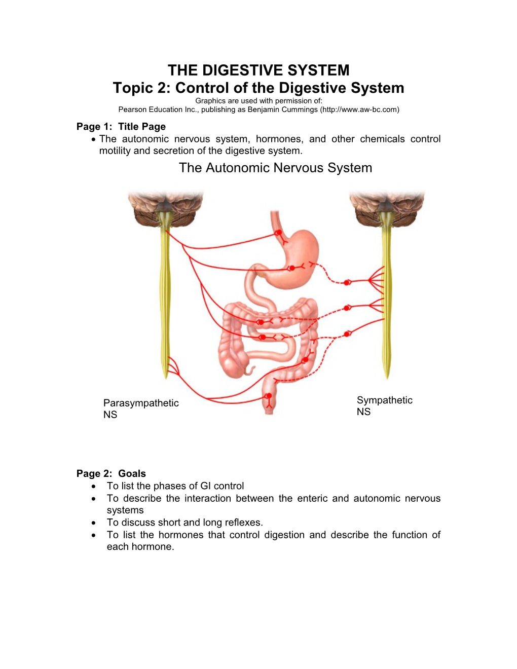 Anatomy Review: Digestive System