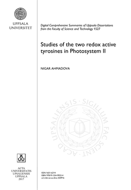 Studies of the Two Redox Active Tyrosines in Photosystem II