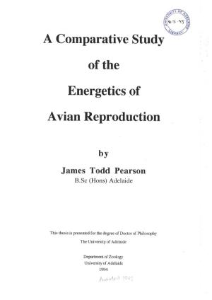 A Comparative Study of the Energetics of Avian Reproduction