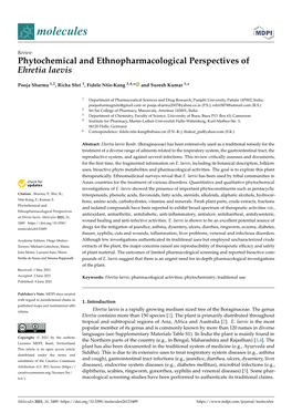 Phytochemical and Ethnopharmacological Perspectives of Ehretia Laevis