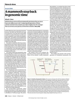 A Mammoth Step Back in Genomic Time