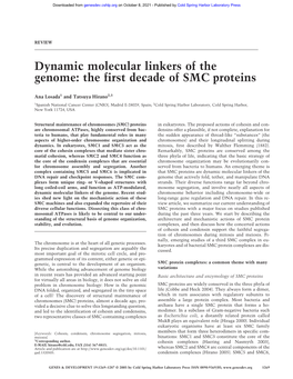Dynamic Molecular Linkers of the Genome: the First Decade of SMC Proteins