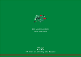2020 Stallions Brochure