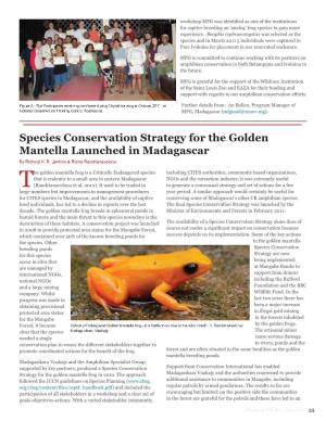 Species Conservation Strategy for the Golden Mantella Launched In