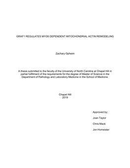 Graf1 Regulates Myo6 Dependent Mitochondrial Actin Remodeling