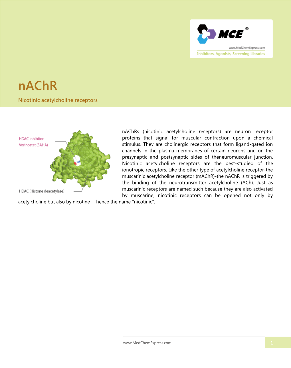 Nicotinic Acetylcholine Receptors