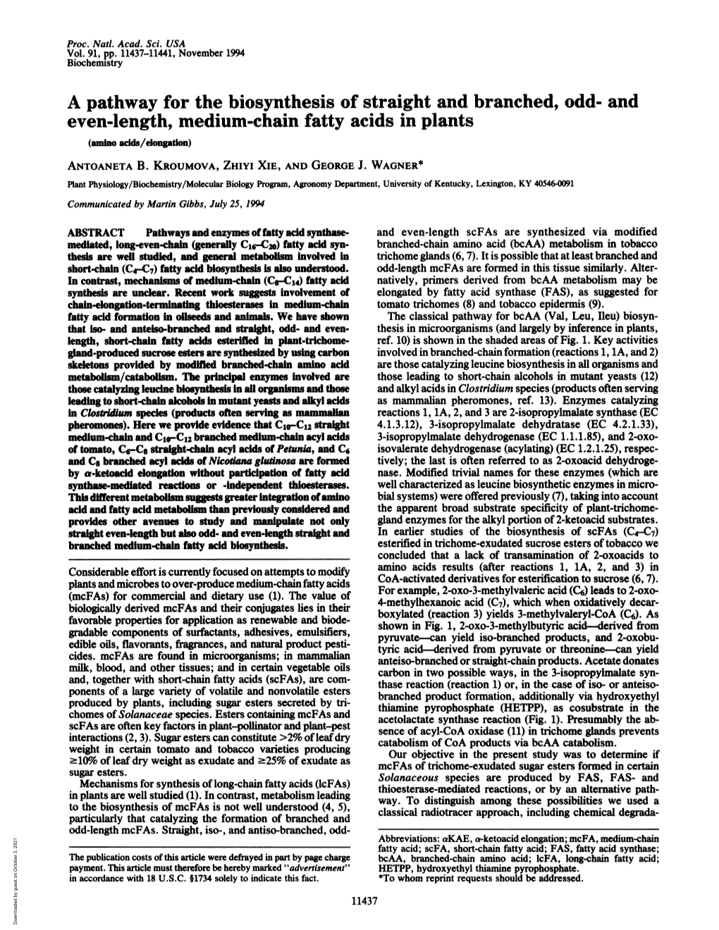 And Even-Length, Medium-Chain Fatty Acids in Plants (Amino Adds/Elongtin) ANTOANETA B