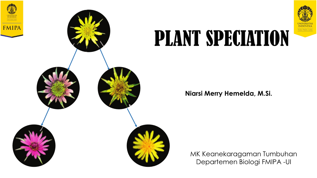 Plant Speciation