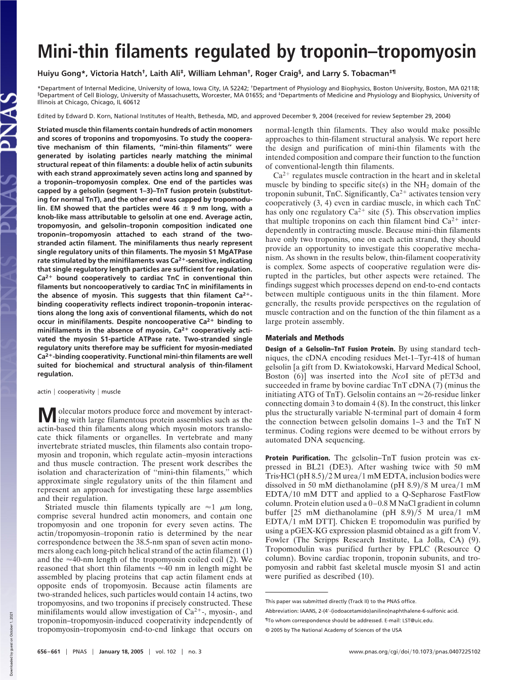 Mini-Thin Filaments Regulated by Troponin–Tropomyosin