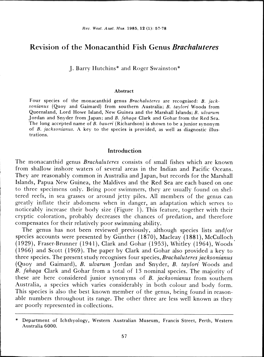 Revision of the Monacanthid Fish Genus Brachaluteres