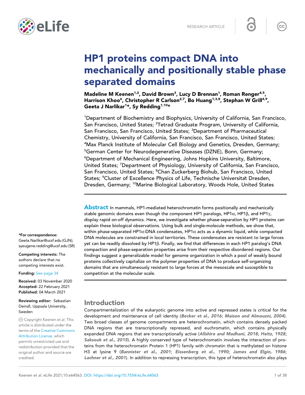 HP1 Proteins Compact DNA Into Mechanically and Positionally Stable Phase Separated Domains