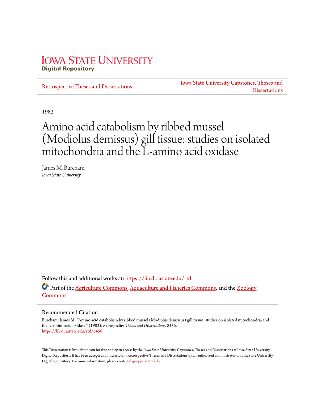 Amino Acid Catabolism by Ribbed Mussel (Modiolus Demissus) Gill Tissue: Studies on Isolated Mitochondria and the L-Amino Acid Oxidase James M