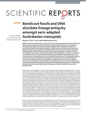 Bandicoot Fossils and DNA Elucidate Lineage Antiquity Amongst Xeric