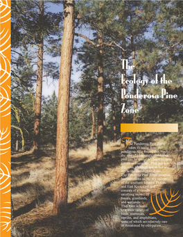 The Ecology of the Ponderosa Pine Zone