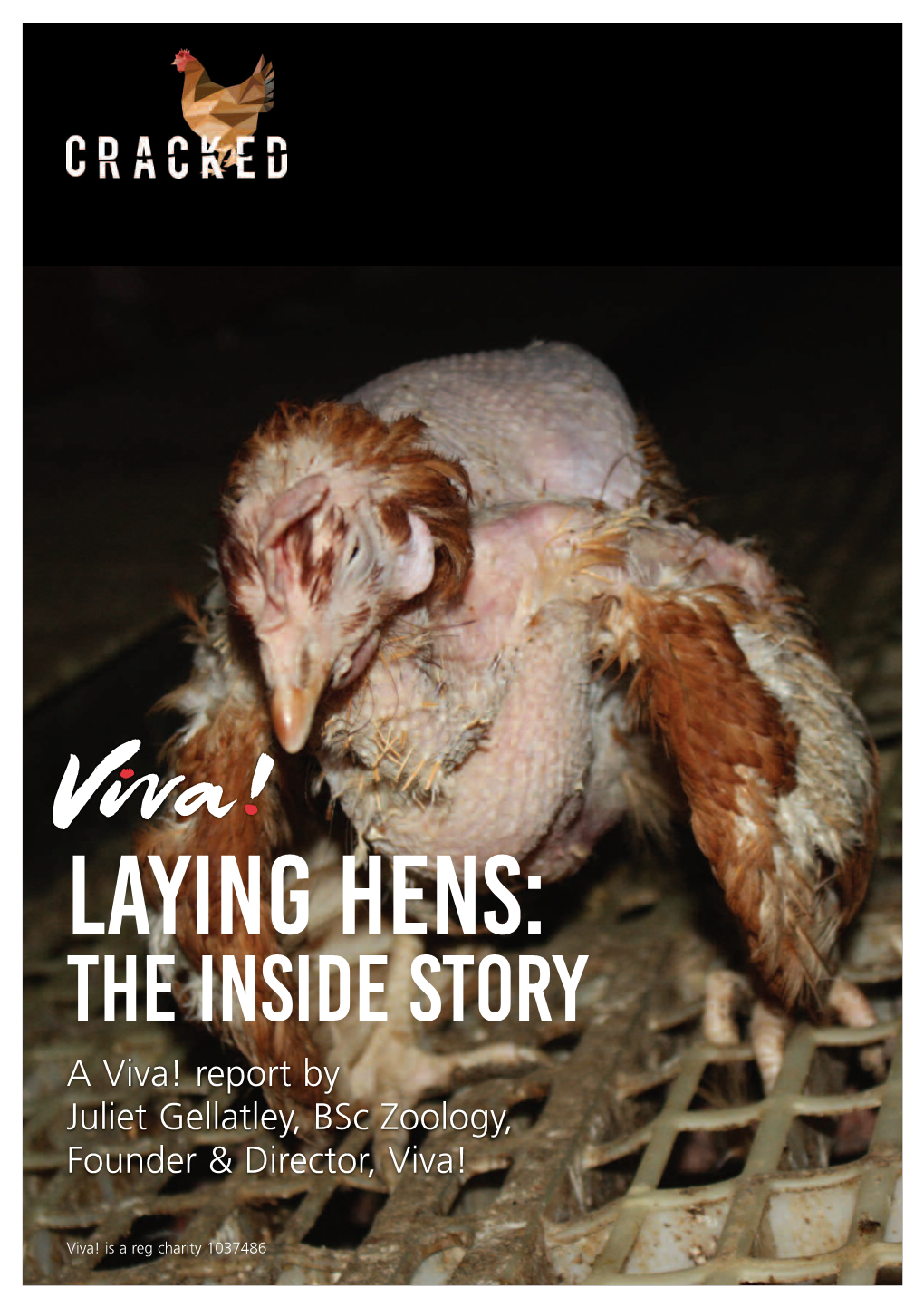LAYING HENS: the INSIDE STORY a Viva! Report by Juliet Gellatley, Bsc Zoology, Founder & Director, Viva!