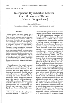 Lntergeneric Hybridization Between Coccothrinax and Thrinax (Palmae:Coryphoideae)