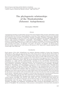 The Phylogenetic Relationships of the †Enchodontidae (Teleostei: Aulopiformes)