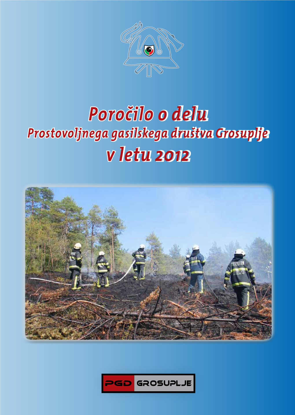 Poročilo O Delu V Letu 2012