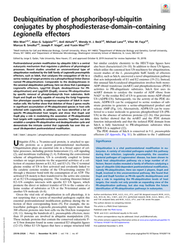 Deubiquitination of Phosphoribosyl-Ubiquitin Conjugates by Phosphodiesterase-Domain–Containing Legionella Effectors