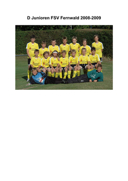 D Junioren FSV Fernwald 2008-2009