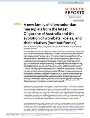 A New Family of Diprotodontian Marsupials from the Latest Oligocene of Australia and the Evolution of Wombats, Koalas, and Their Relatives (Vombatiformes) Robin M