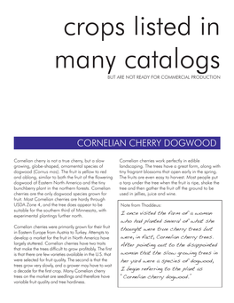 Cornelian Cherry Dogwood