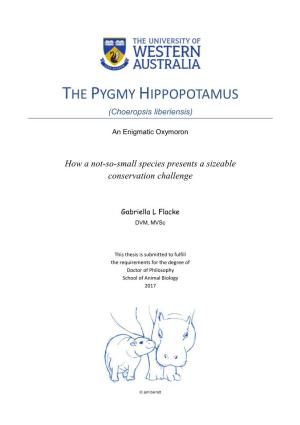 THE PYGMY HIPPOPOTAMUS (Choeropsis Liberiensis)