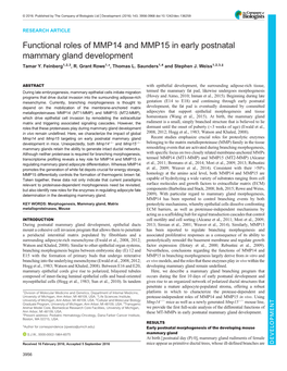 Functional Roles of MMP14 and MMP15 in Early Postnatal Mammary Gland Development Tamar Y