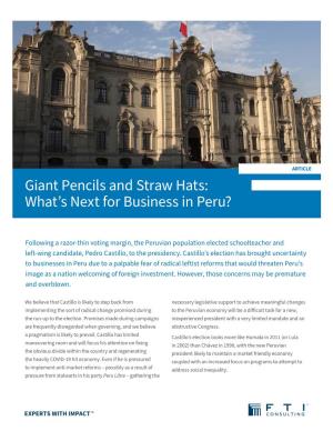 What's Next for Business in Peru?