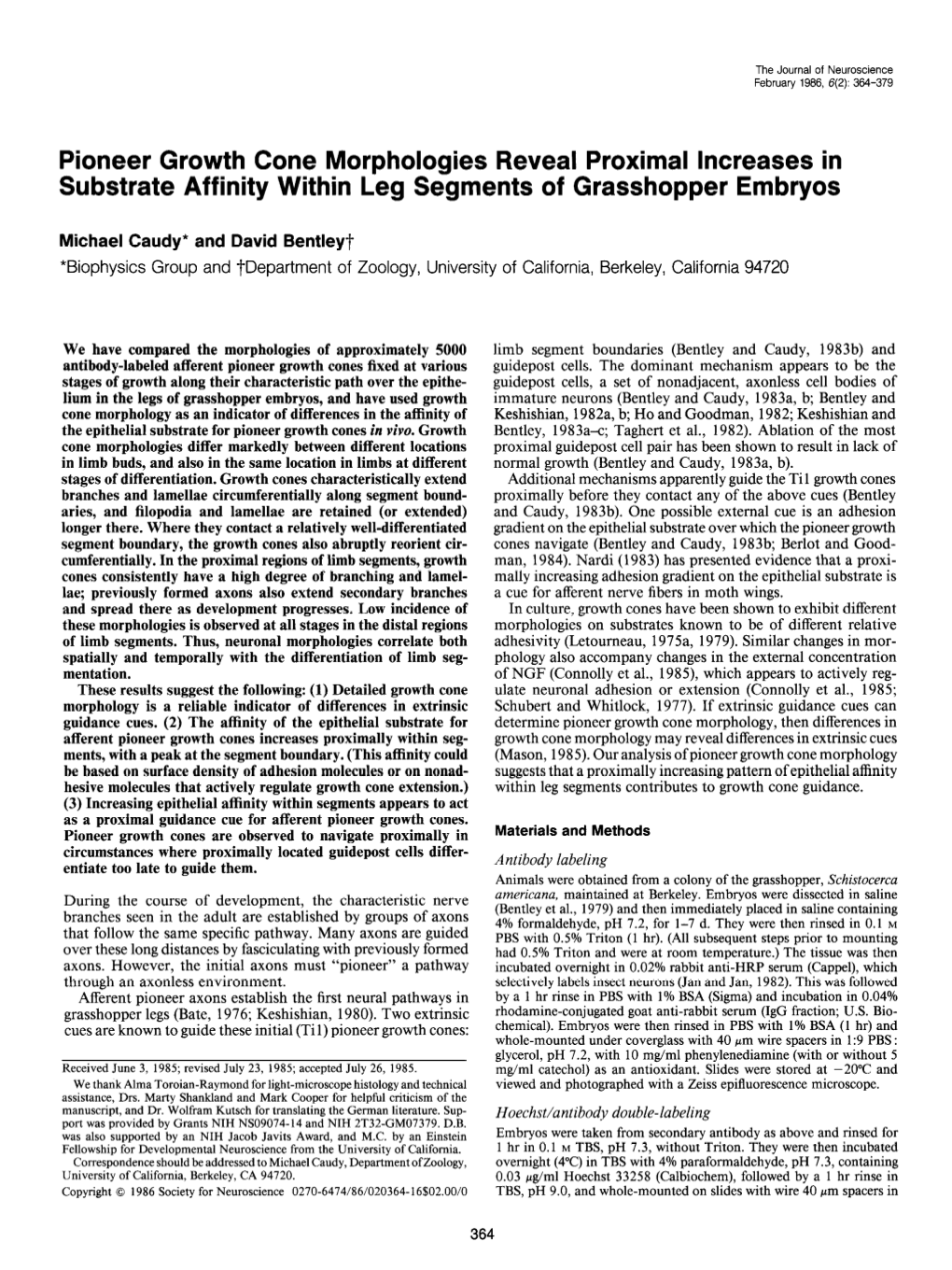 Pioneer Growth Cone Morphologies Reveal Proximal Increases in Substrate Affinity Within Leg Segments of Grasshopper Embryos