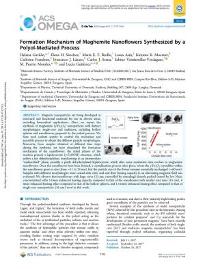 Formation Mechanism of Maghemite Nanoflowers Synthesized by A