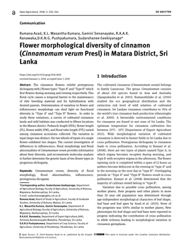 Flower Morphological Diversity of Cinnamon (Cinnamomum Verum