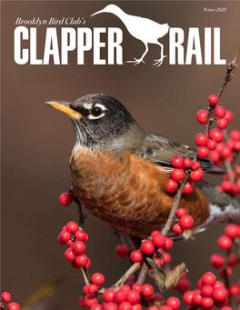 Winter 2020 Brooklyn Bird Club’S the Clapper Rail Winter 2020 Inside This Issue
