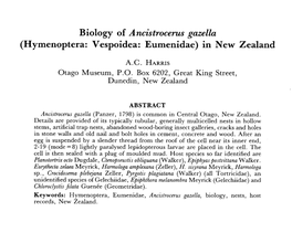 (Hymenoptera: Vespoidea: Eumenidae) in New Zealand