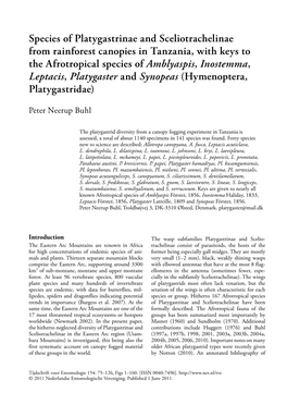 Species of Platygastrinae and Sceliotrachelinae from Rainforest