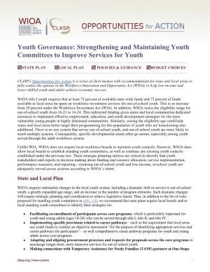 Youth Governance: Strengthening and Maintaining Youth Committees to Improve Services for Youth