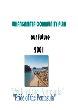 WHANGAMATA COMMUNITY PLAN Our Future